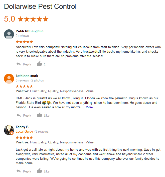 Dollarwise-Pest-Control-Reviews